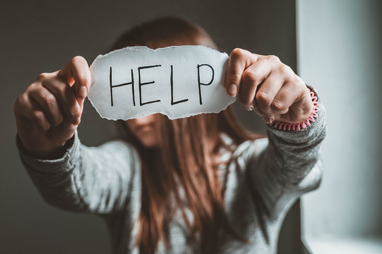 Opinion: Ulster County Survivors Have Been Speaking. It Is Time to Act