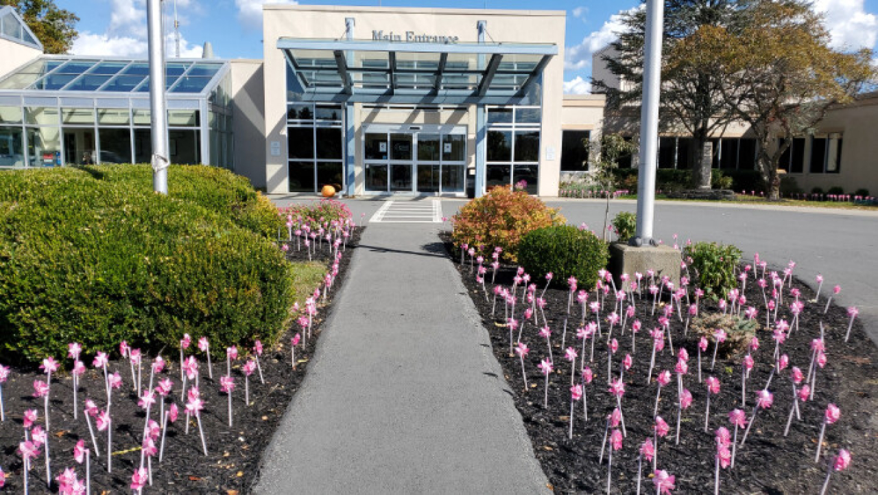 October is Breast Cancer Awareness Month